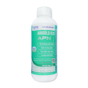 arigold-620-1-lit