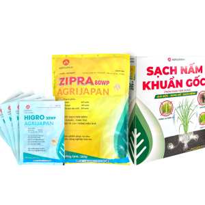 bo-giai-phap-sach-nam-khuan-goc