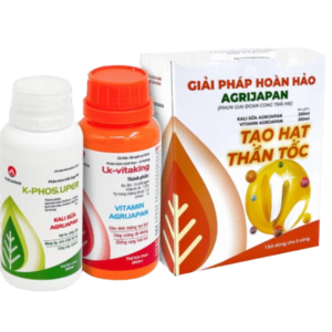 bo-giai-phap-hoan-hao-tao-hat-than-toc