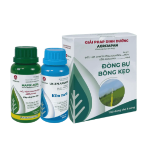 bo-giai-phap-dong-bu-bong-keo