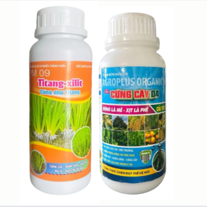 bo-giai-phap-titang-xilit-cung-cay-d4-giup-cung-cay-chong-do-nga