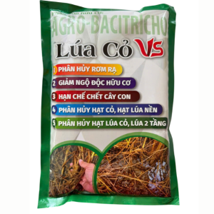 lua-co-vs-kg-giup-phan-huy-rom-ra-giam-ngo-doc-phan-huy-lua-co-lua-ma-lua-coi-lua-2-tang