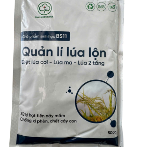 bs-11-quan-ly-lua-lon-500g-xu-ly-lua-lon-lua-ma-lua-coi-lua-2-tang