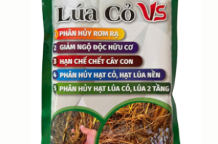 huong-dan-xu-ly-lua-co-dau-vu-bang-lua-co-vs
